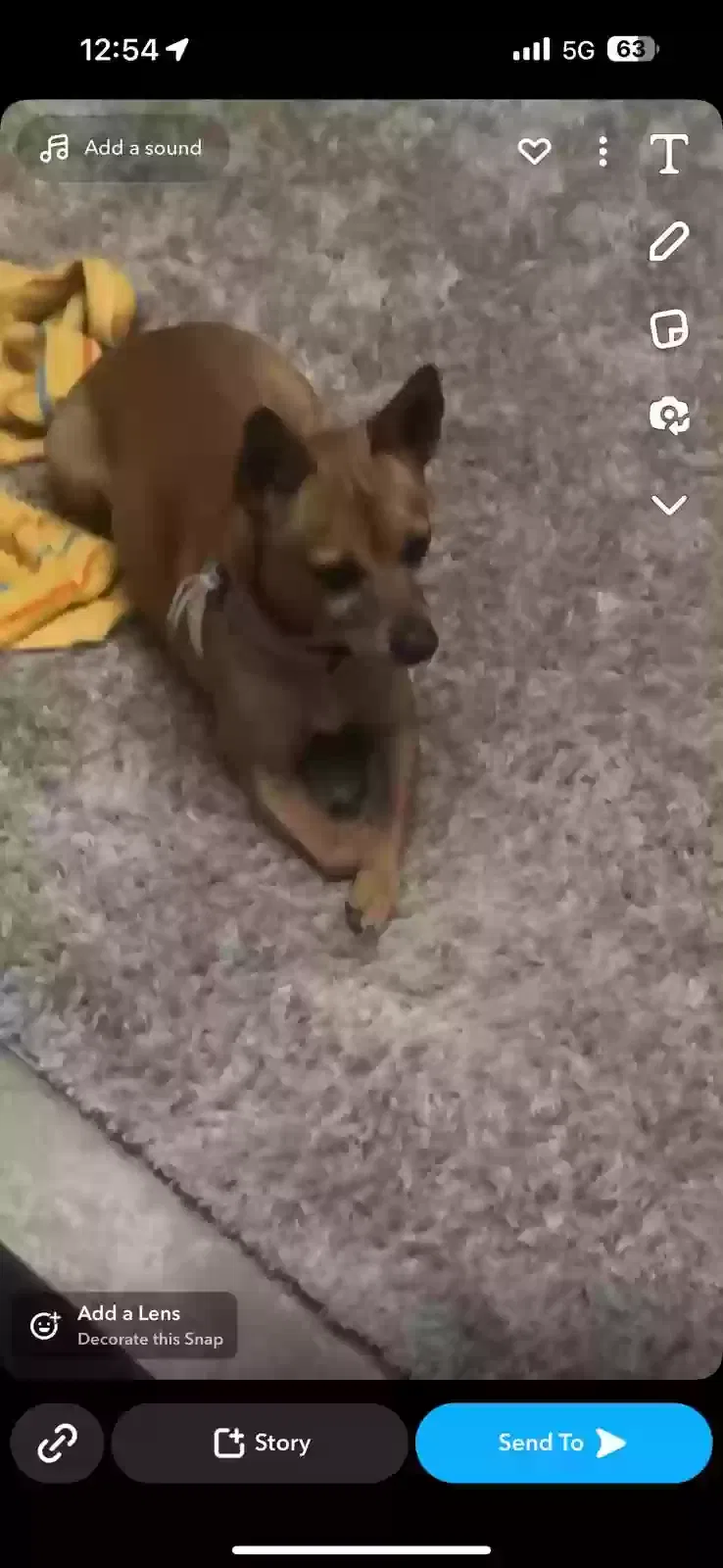 Lost dog in Claremore, OK, 74019