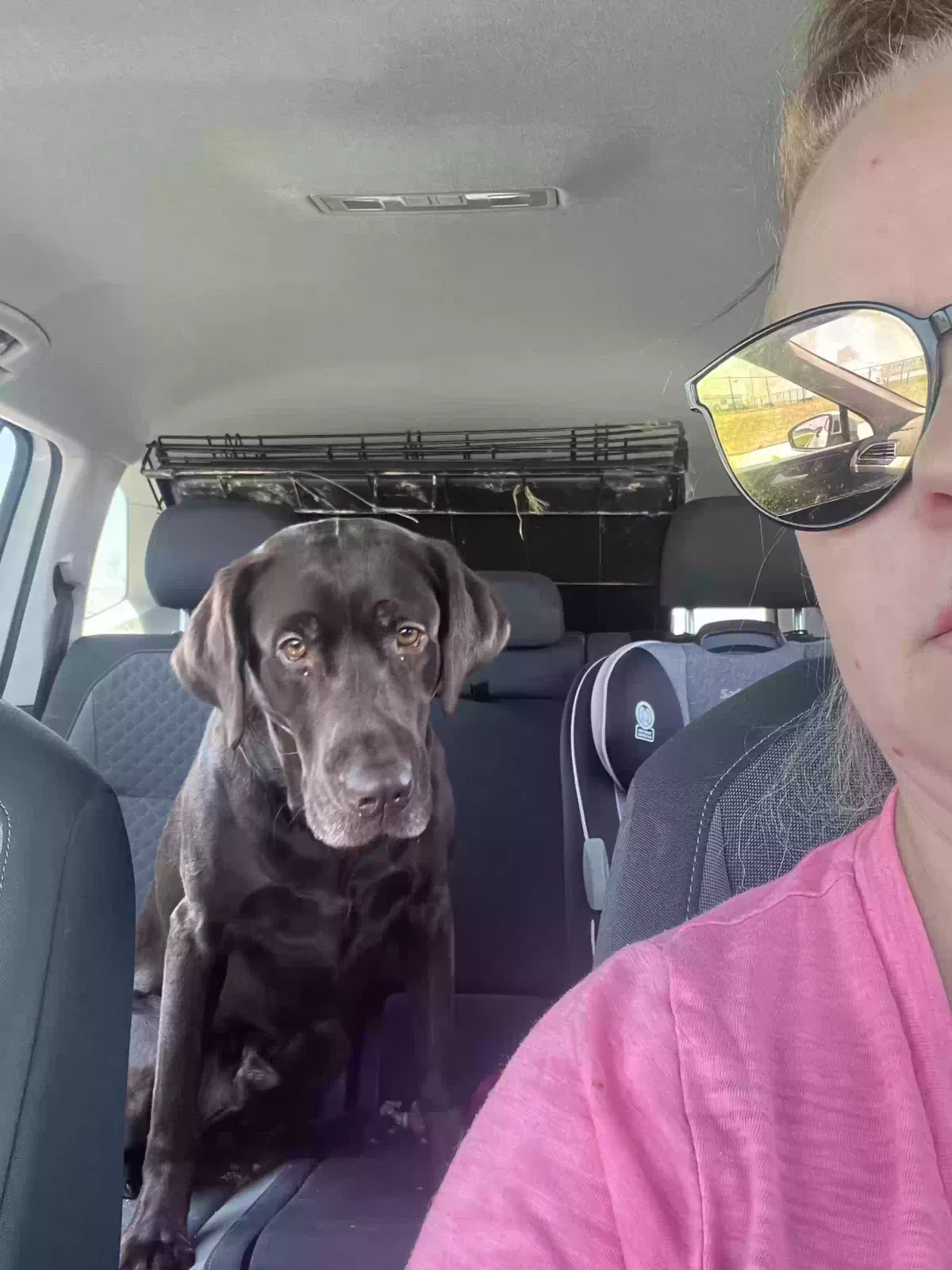 Lost dog in Denver, CO, 80239