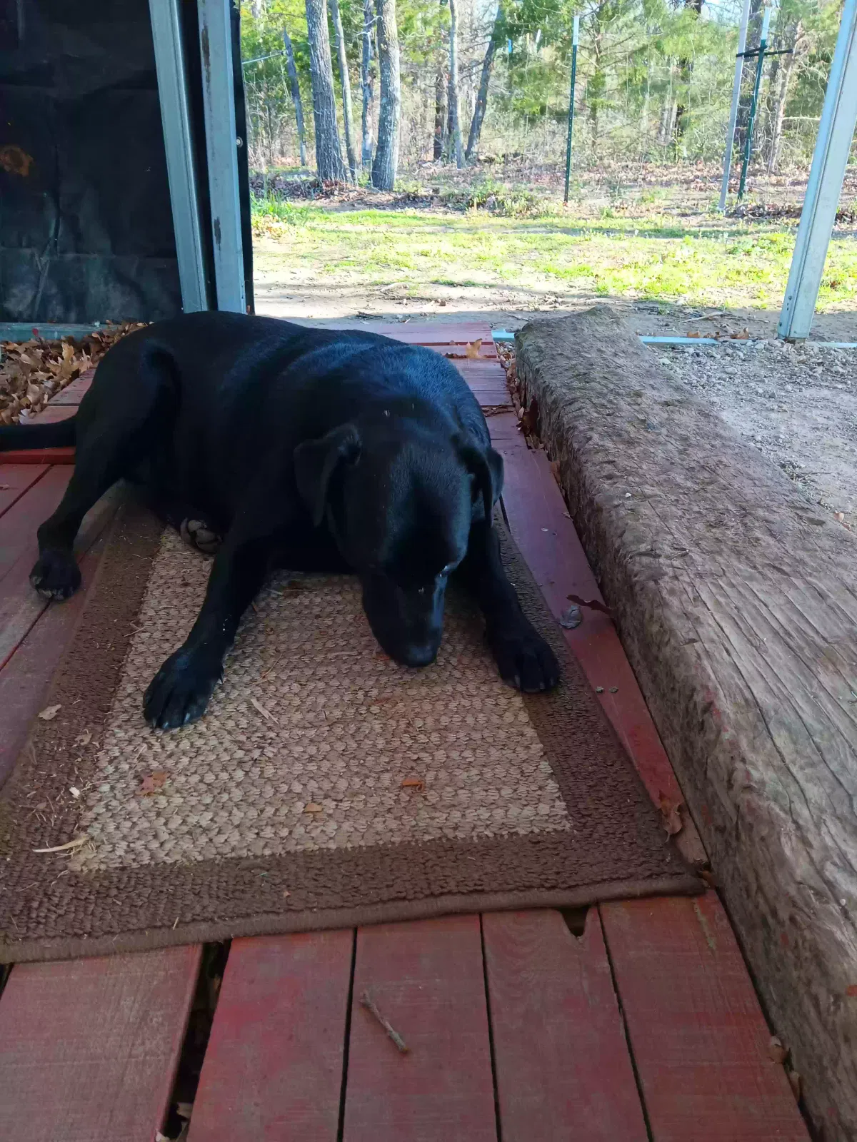 Lost dog in Sand Springs, OK, 74063