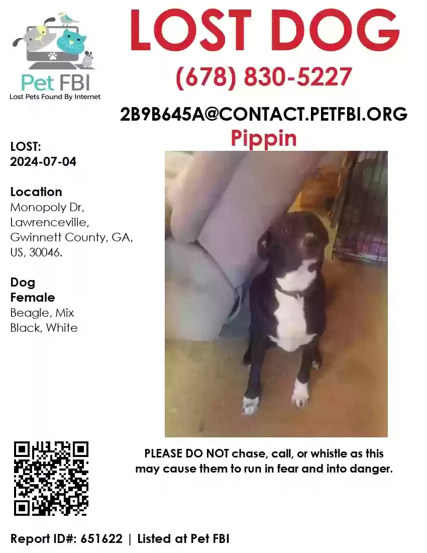 Lost dog in Lawrenceville, GA, 30046