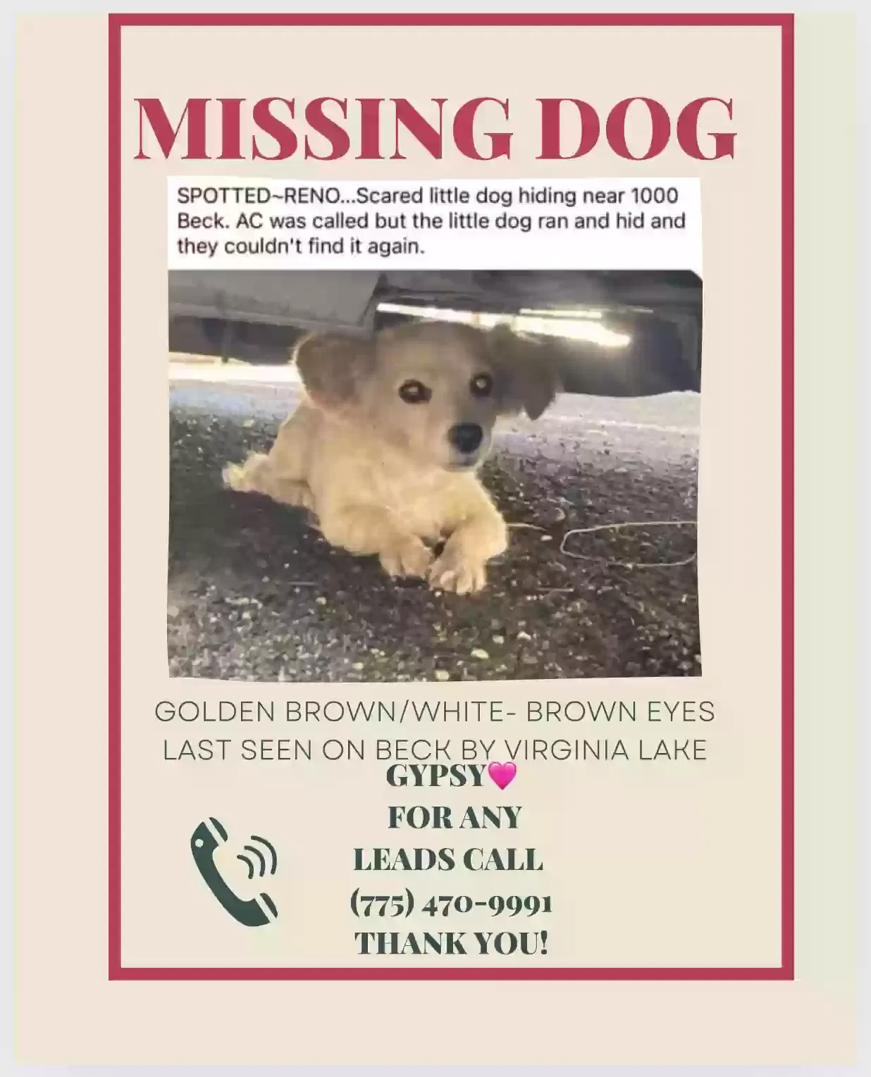 Lost dog in Reno, NV, 89502