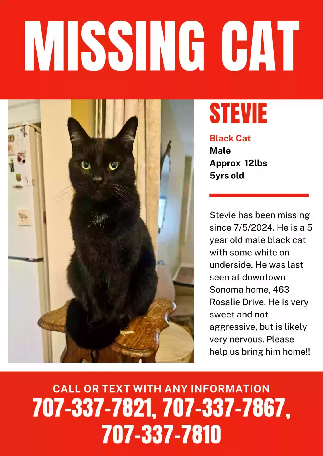 Lost cat in Sonoma, CA, 95476