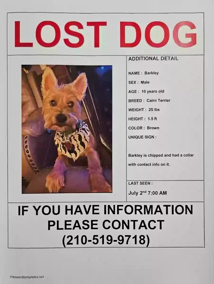 Lost dog in San Antonio, TX, 78240