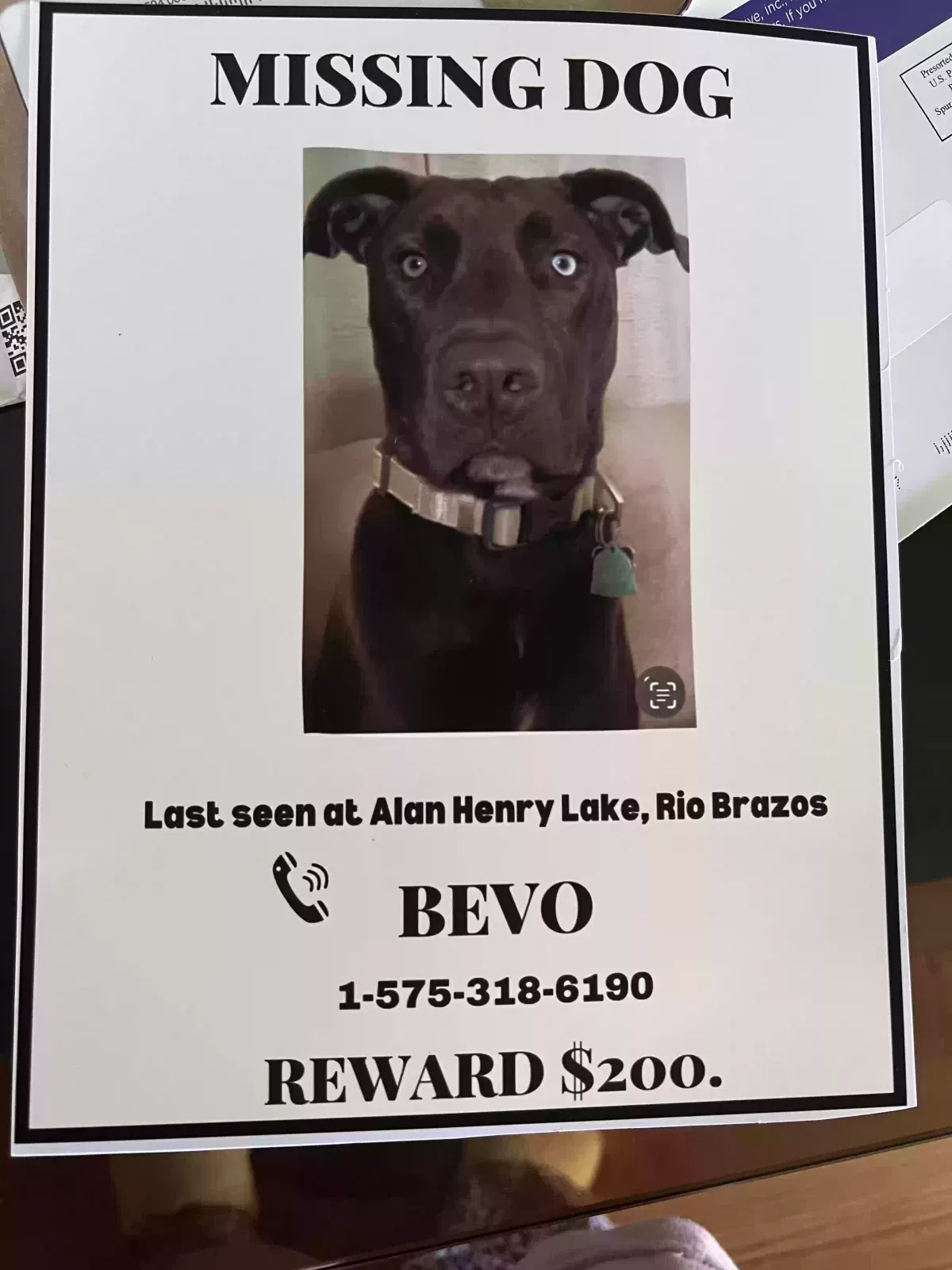 Lost dog in Snyder, TX, 79549