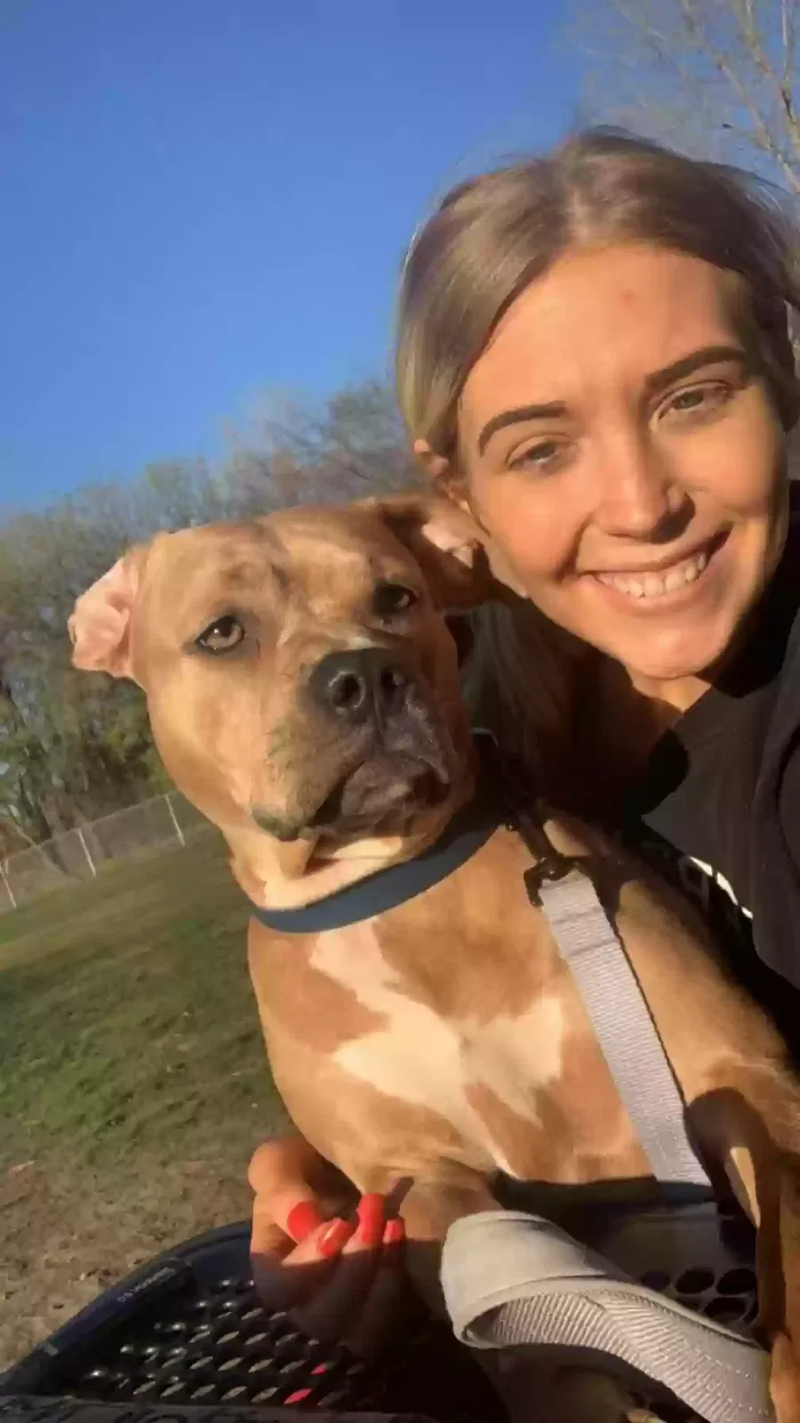 Lost dog in Saint Paul, MN, 55125