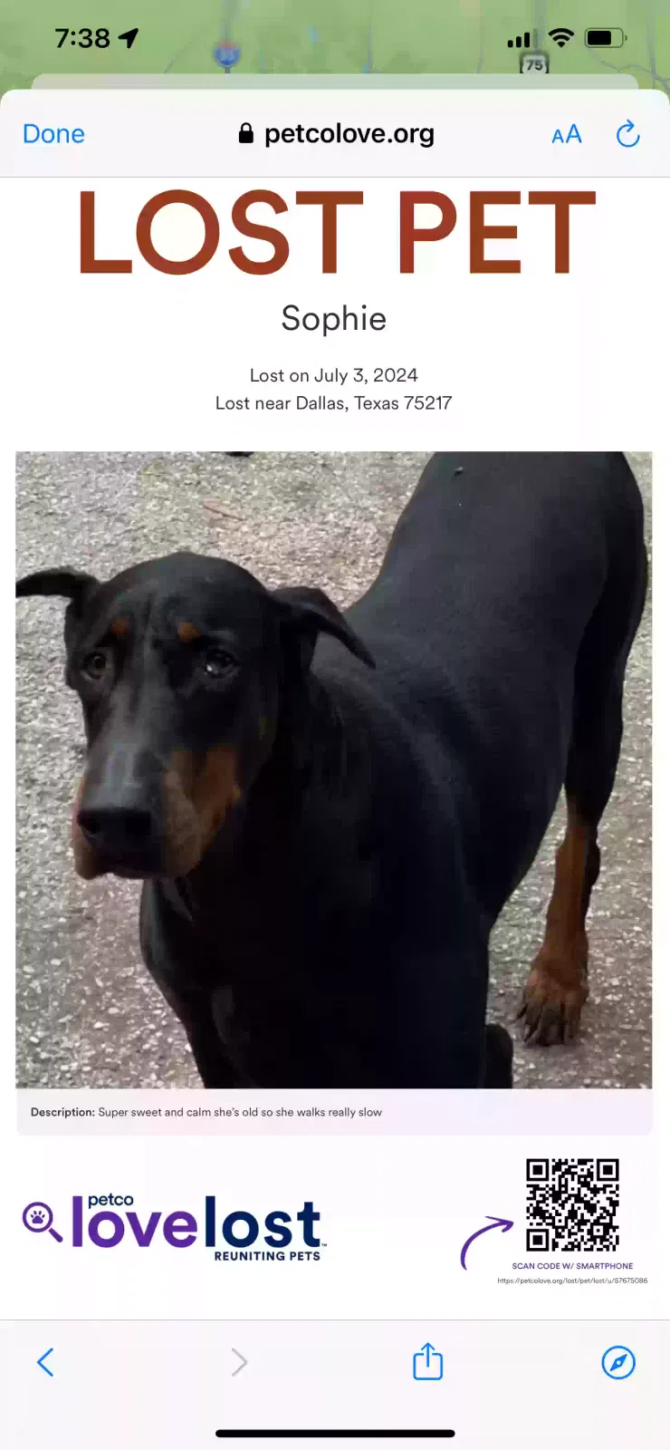 Lost dog in Dallas, TX, 75217