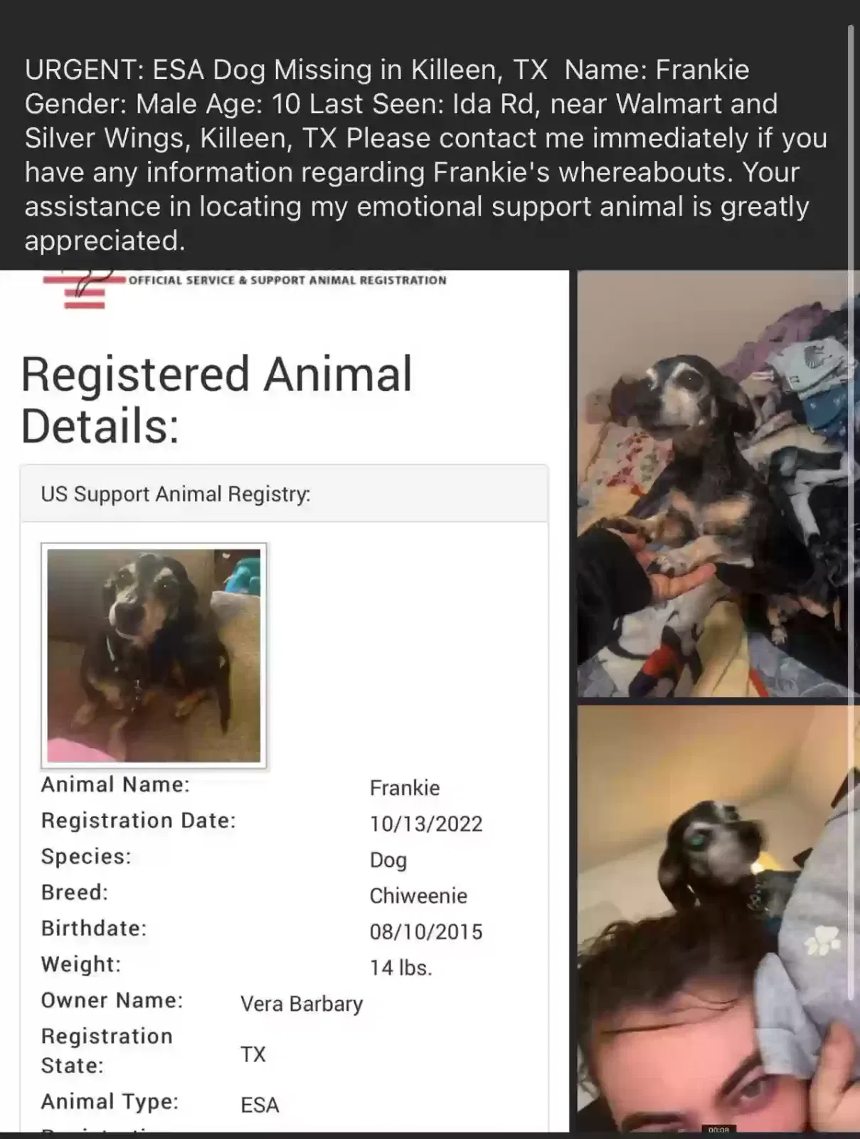 Lost dog in Killeen, TX, 76549