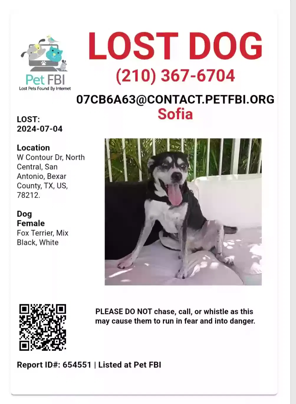 Lost dog in San Antonio, TX, 78212