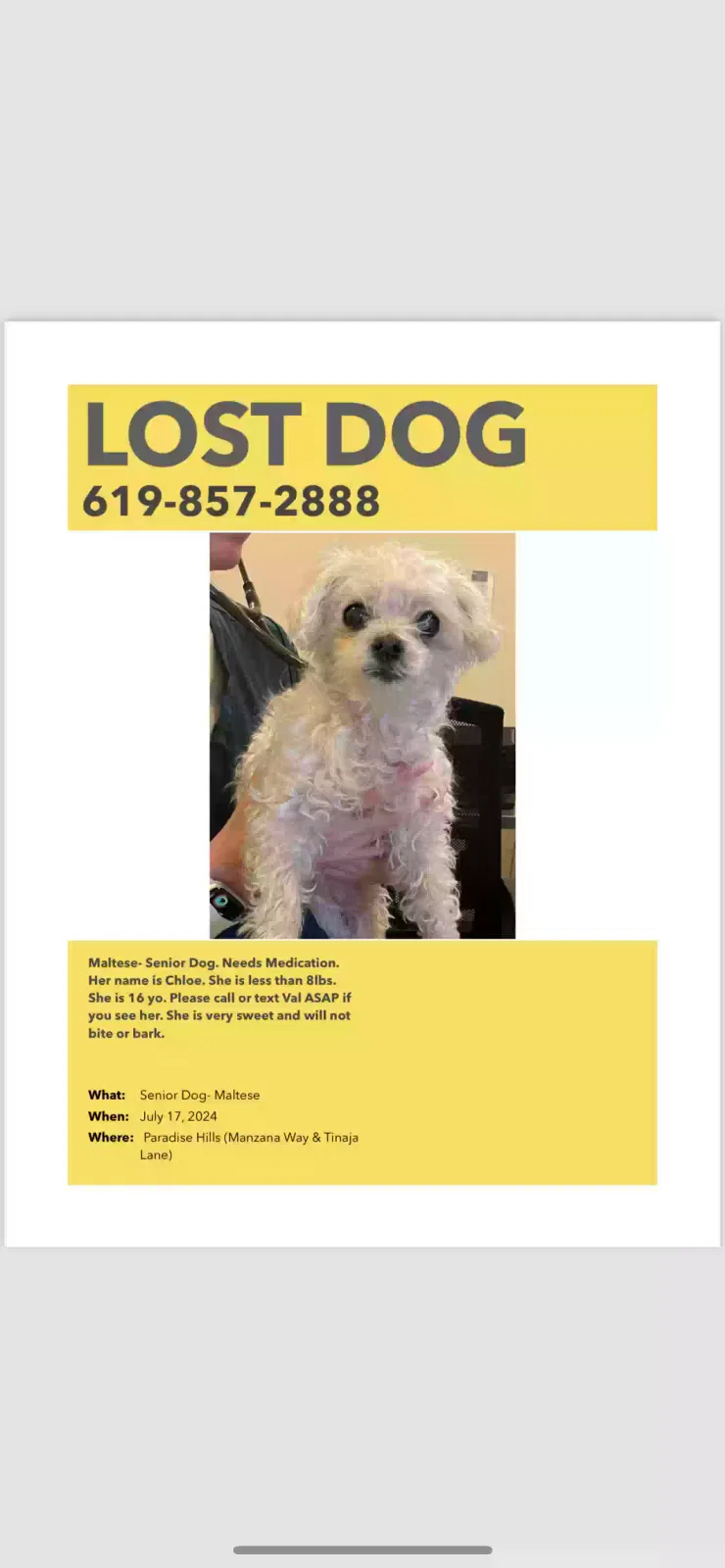 Lost dog in San Diego, CA, 92139