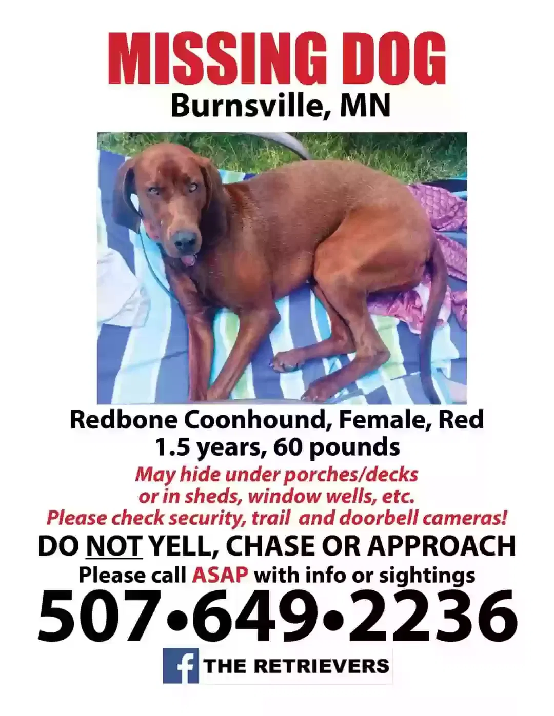Lost dog in Burnsville, MN, 55337