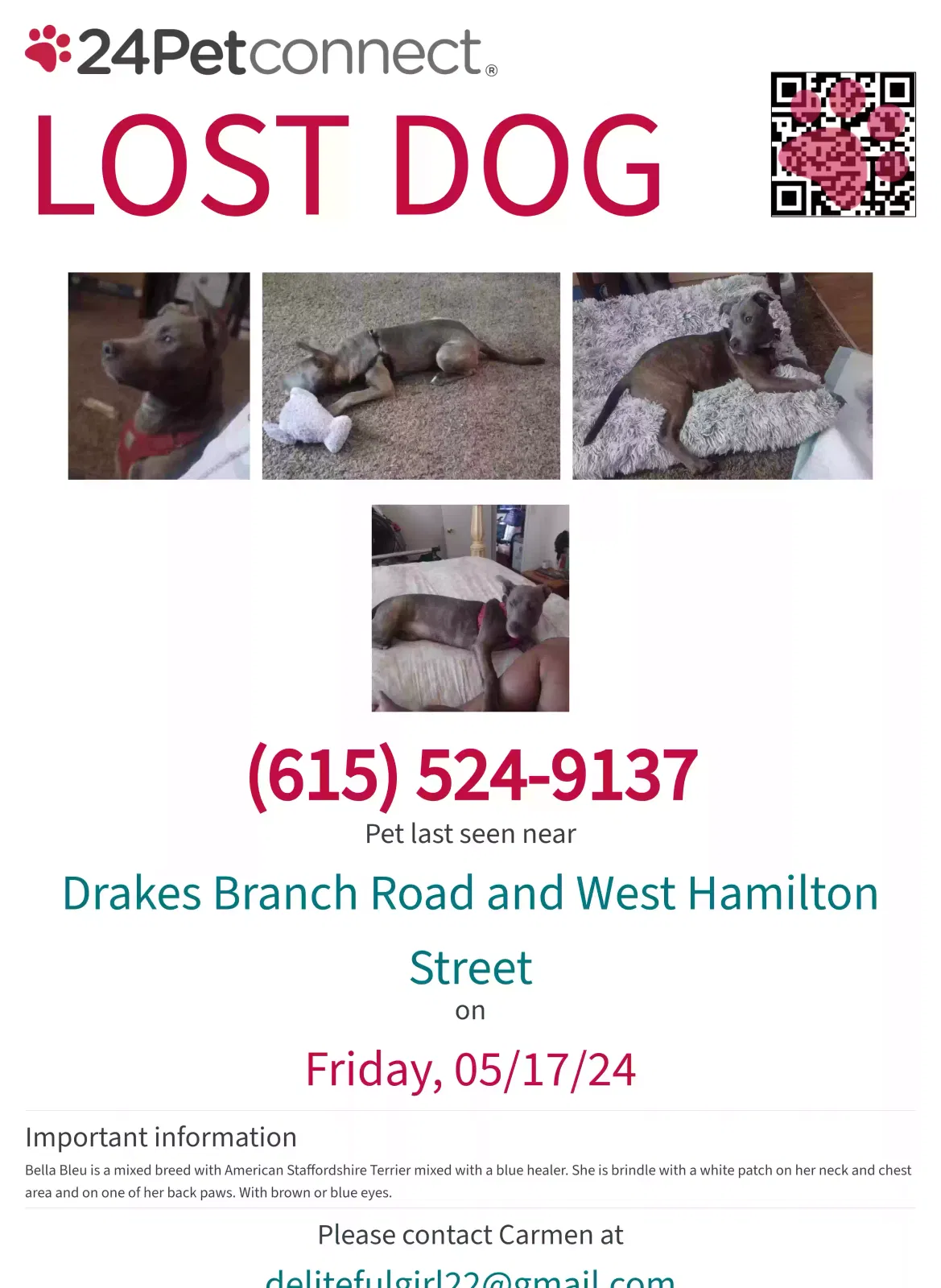 Lost dog in Nashville, TN, 37218