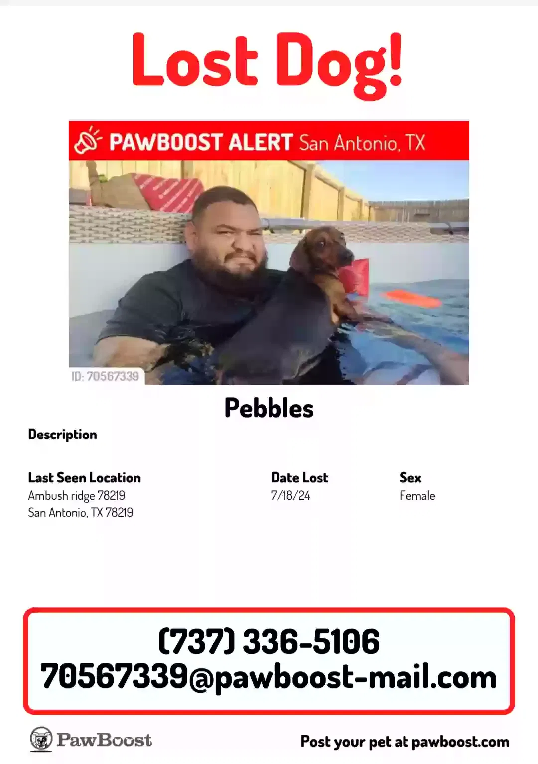 Lost dog in San Antonio, TX, 78219