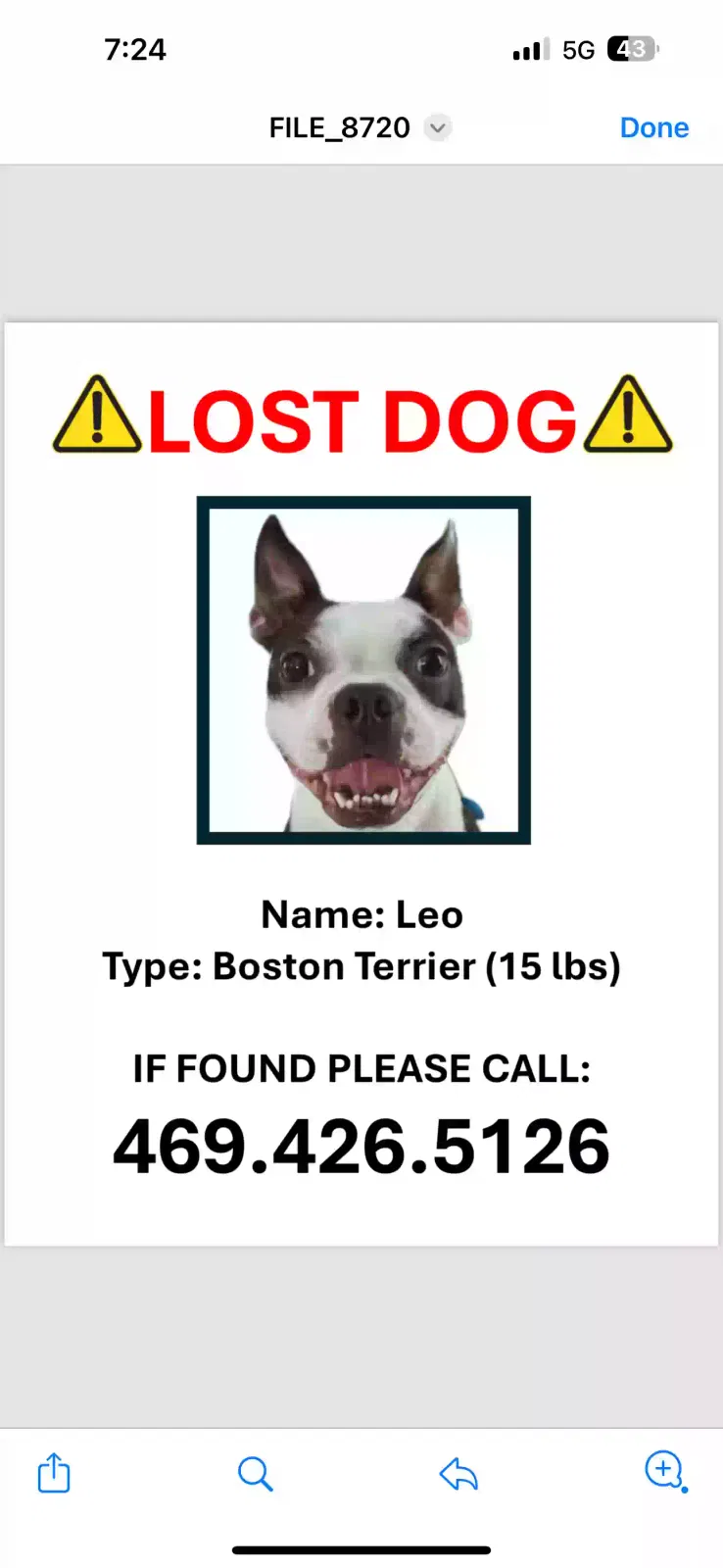 Lost dog in Dallas, TX, 75243