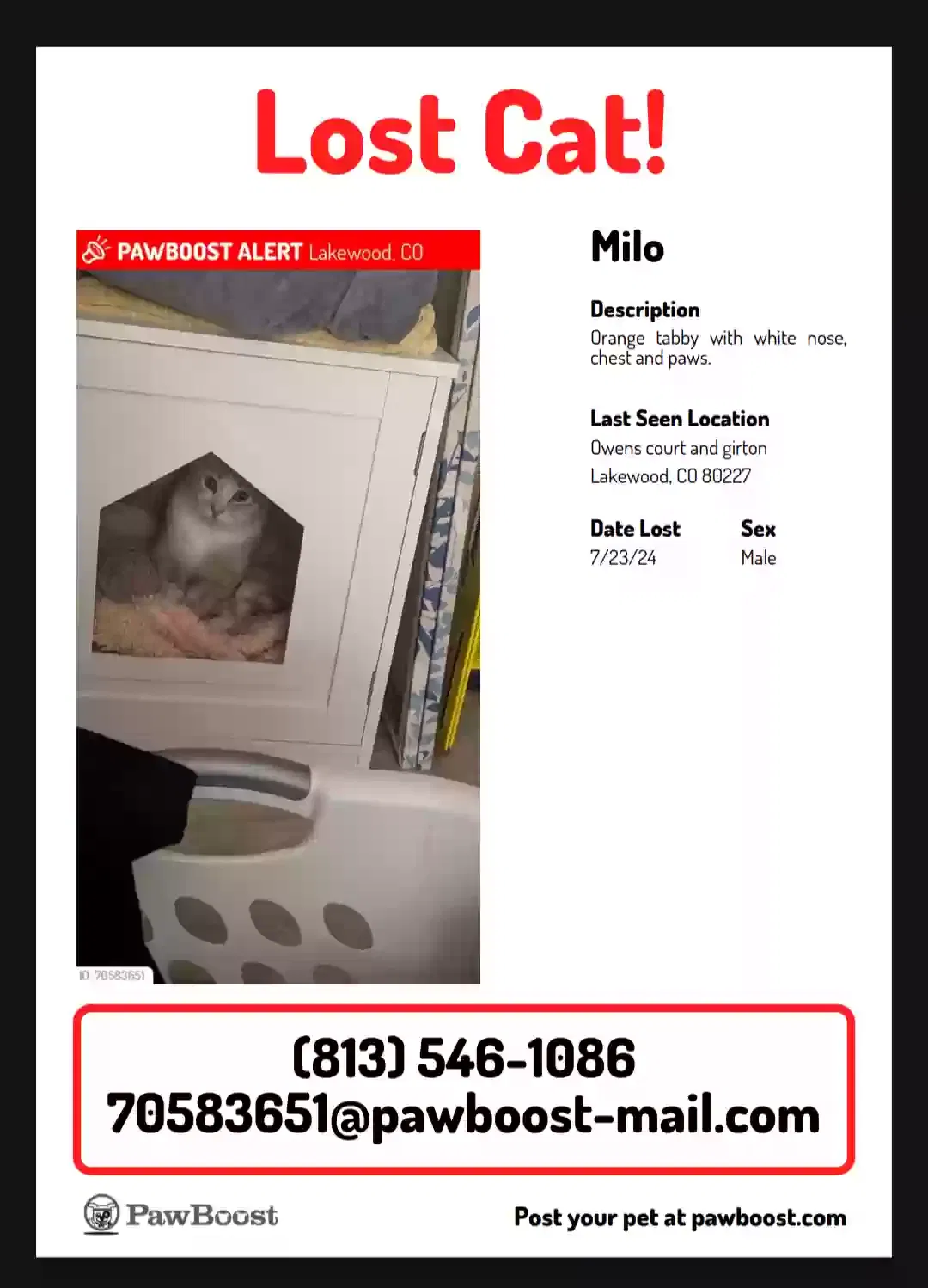Lost cat in Denver, CO, 80227