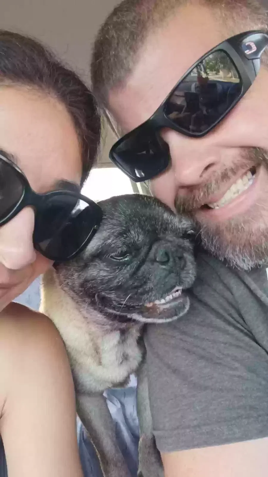 Lost dog in San Antonio, TX, 78233