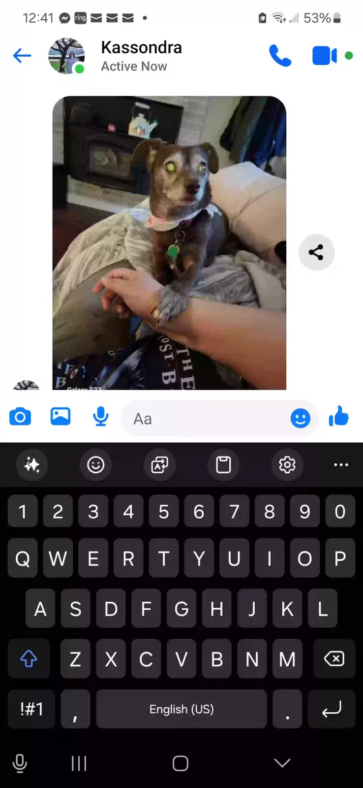 Lost dog in Gig Harbor, WA, 98329