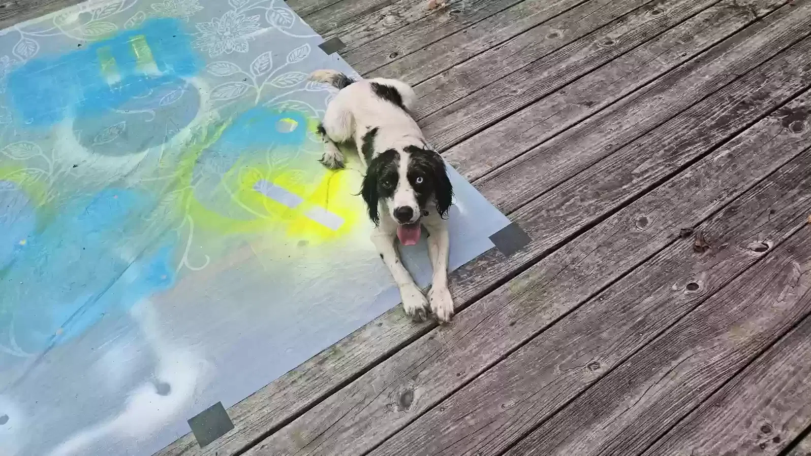 Found dog in Macon, GA, 31210