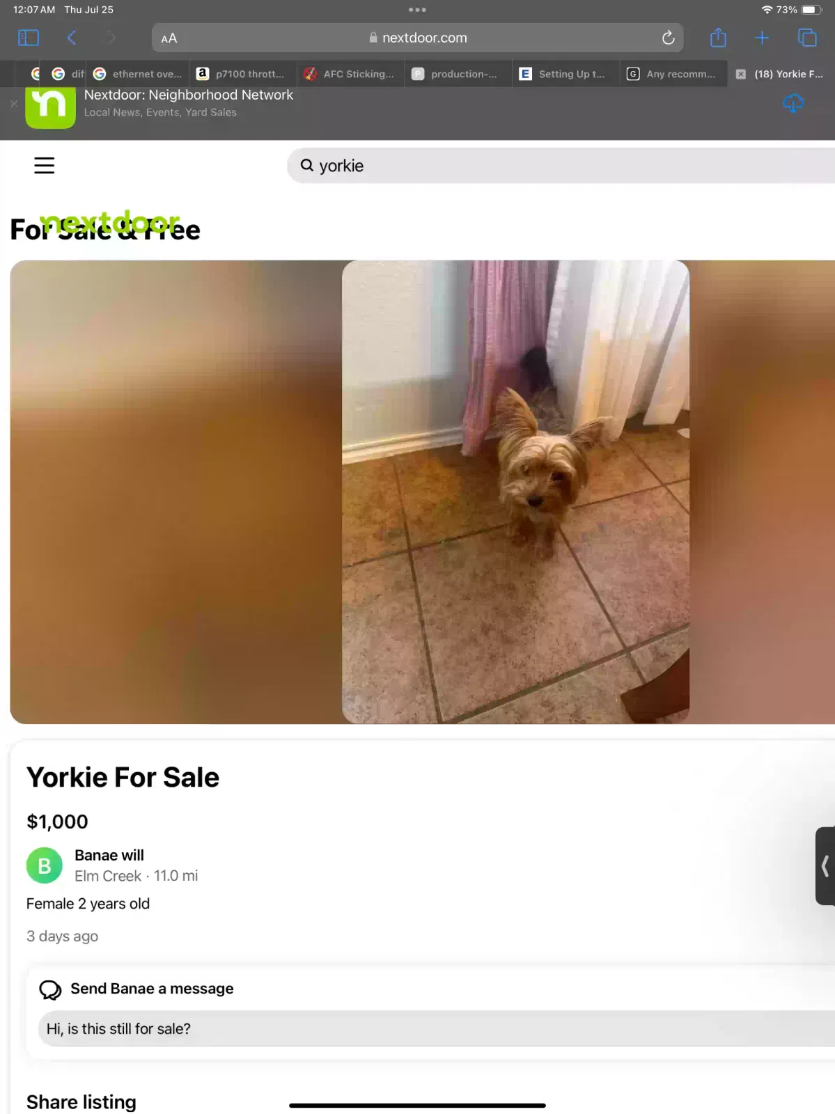 Lost dog in Elgin, TX, 78621