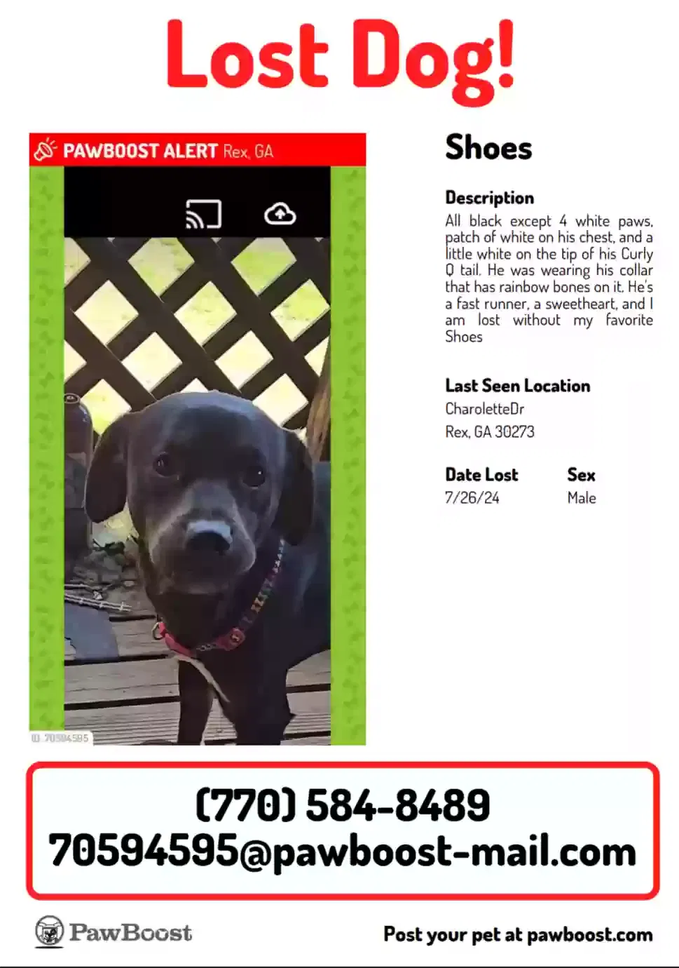 Lost dog in Rex, GA, 30273