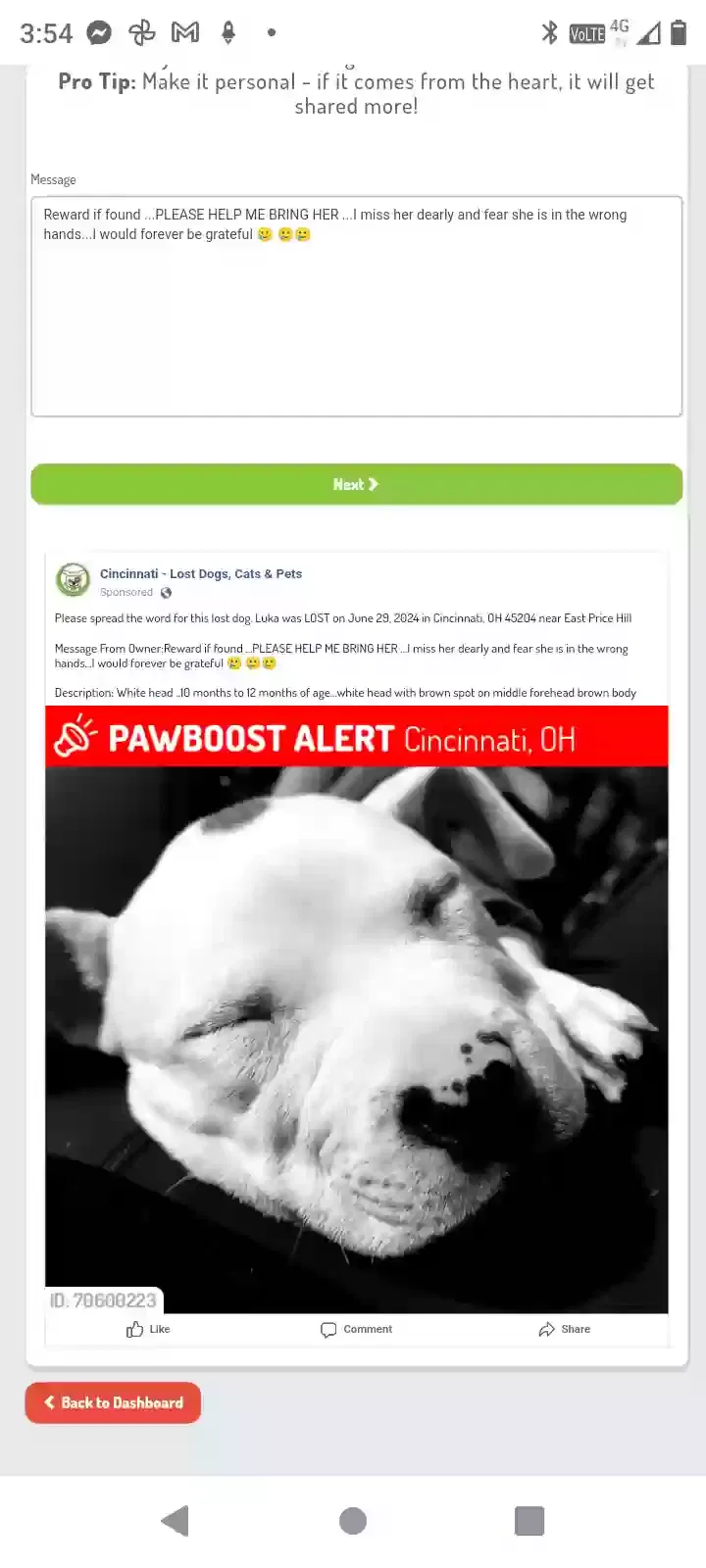 Lost dog in Cincinnati, OH, 45204