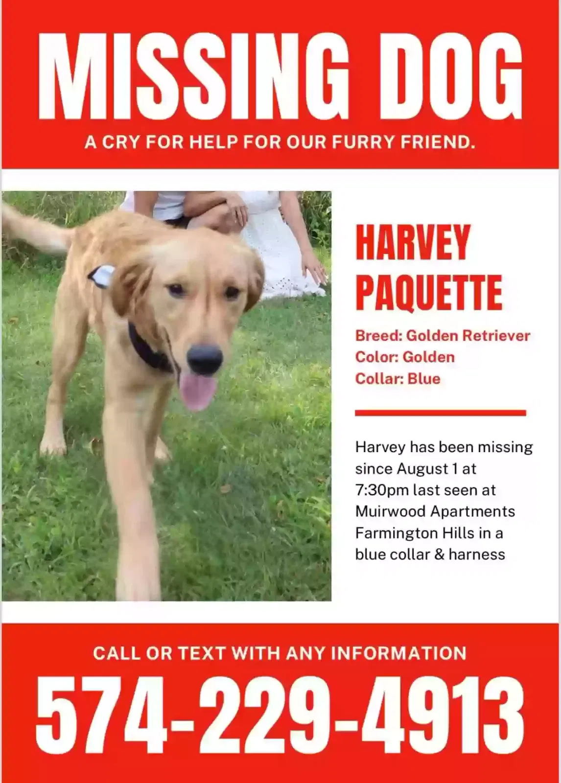 Lost dog in Farmington, MI, 48335