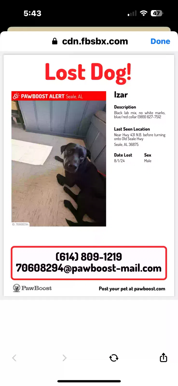 Lost dog in Seale, AL, 36875