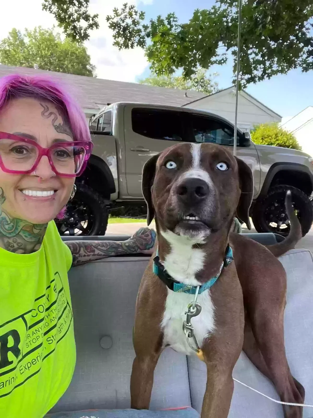 Lost dog in Shreveport, LA, 71105