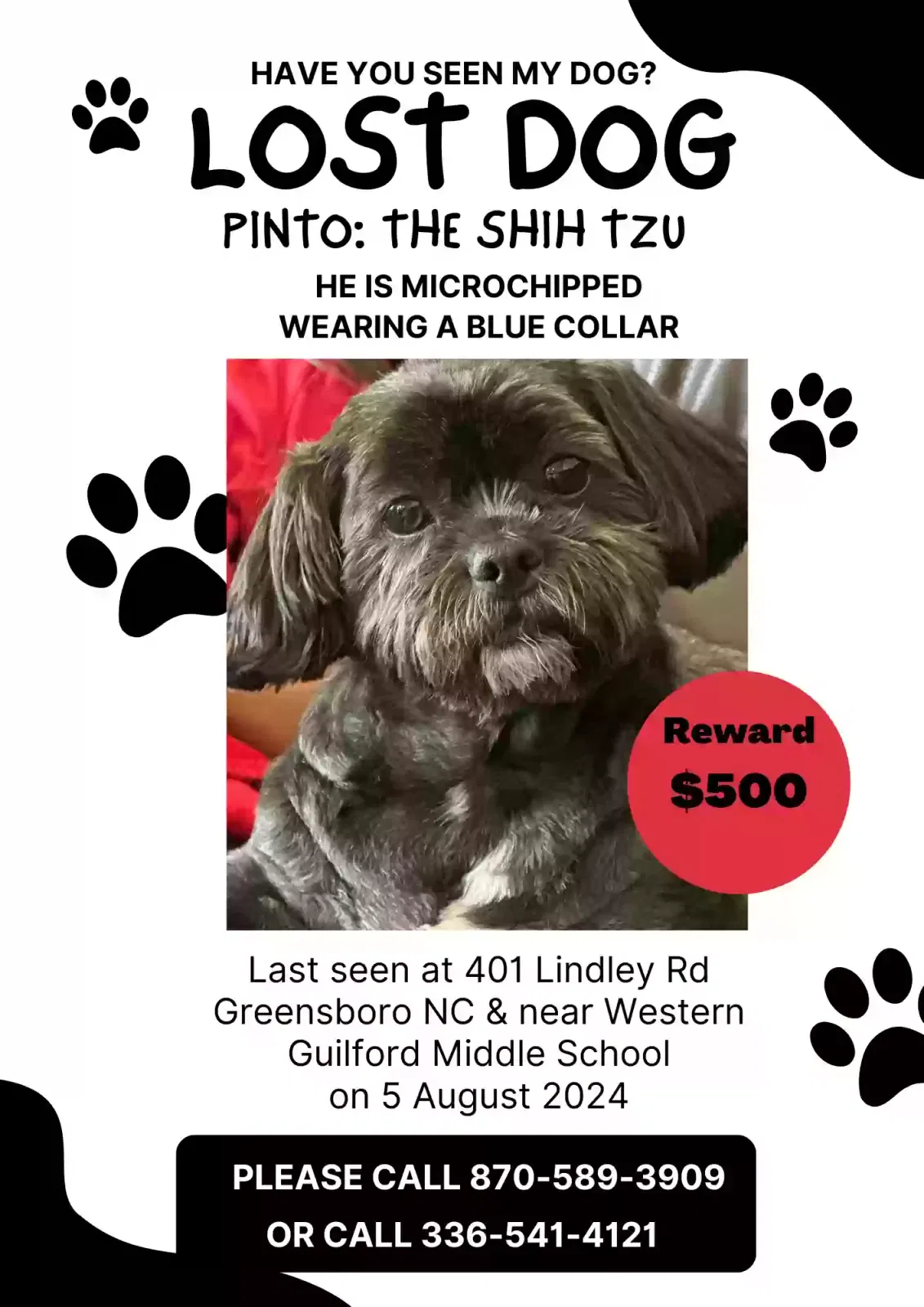 Lost dog in Greensboro, NC, 27410