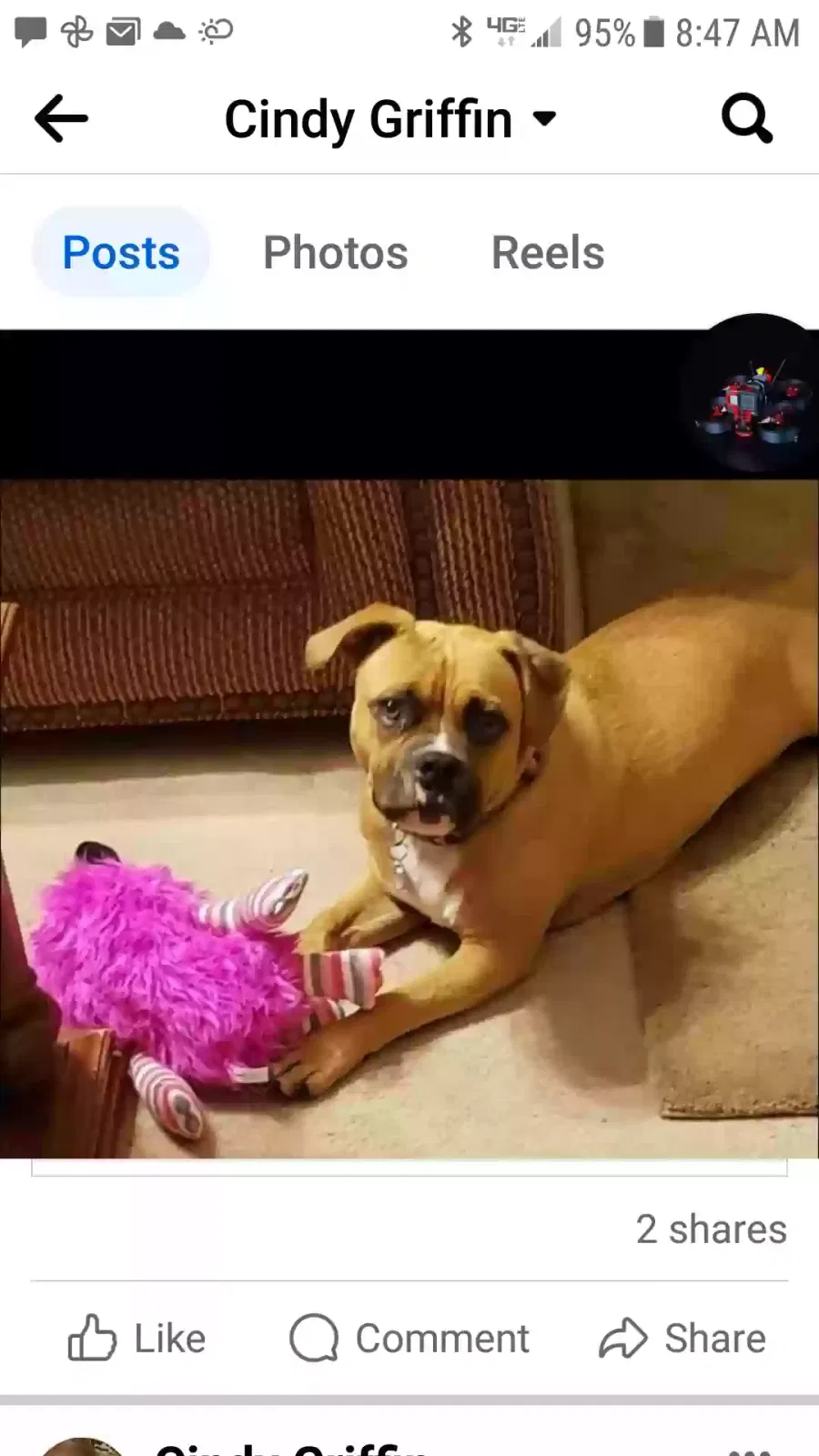 Lost dog in Hephzibah, GA, 30815