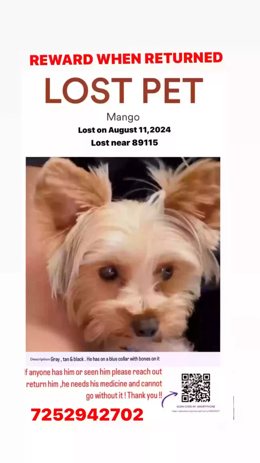 Lost dog in Las Vegas, NV, 89115