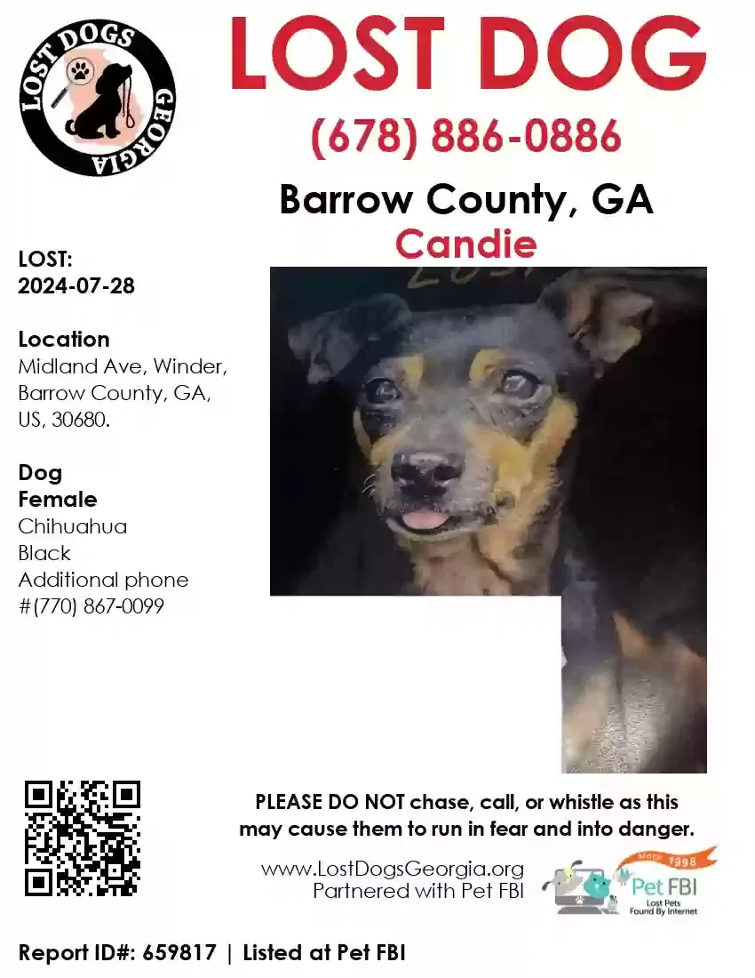 Lost dog in Winder, GA, 30680