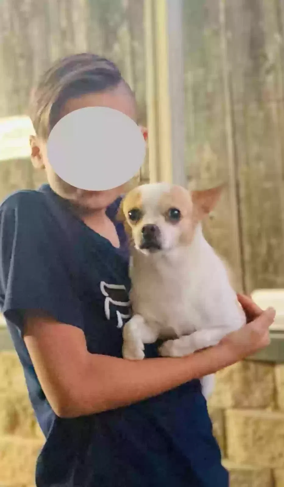 Lost dog in Campo, CA, 91906