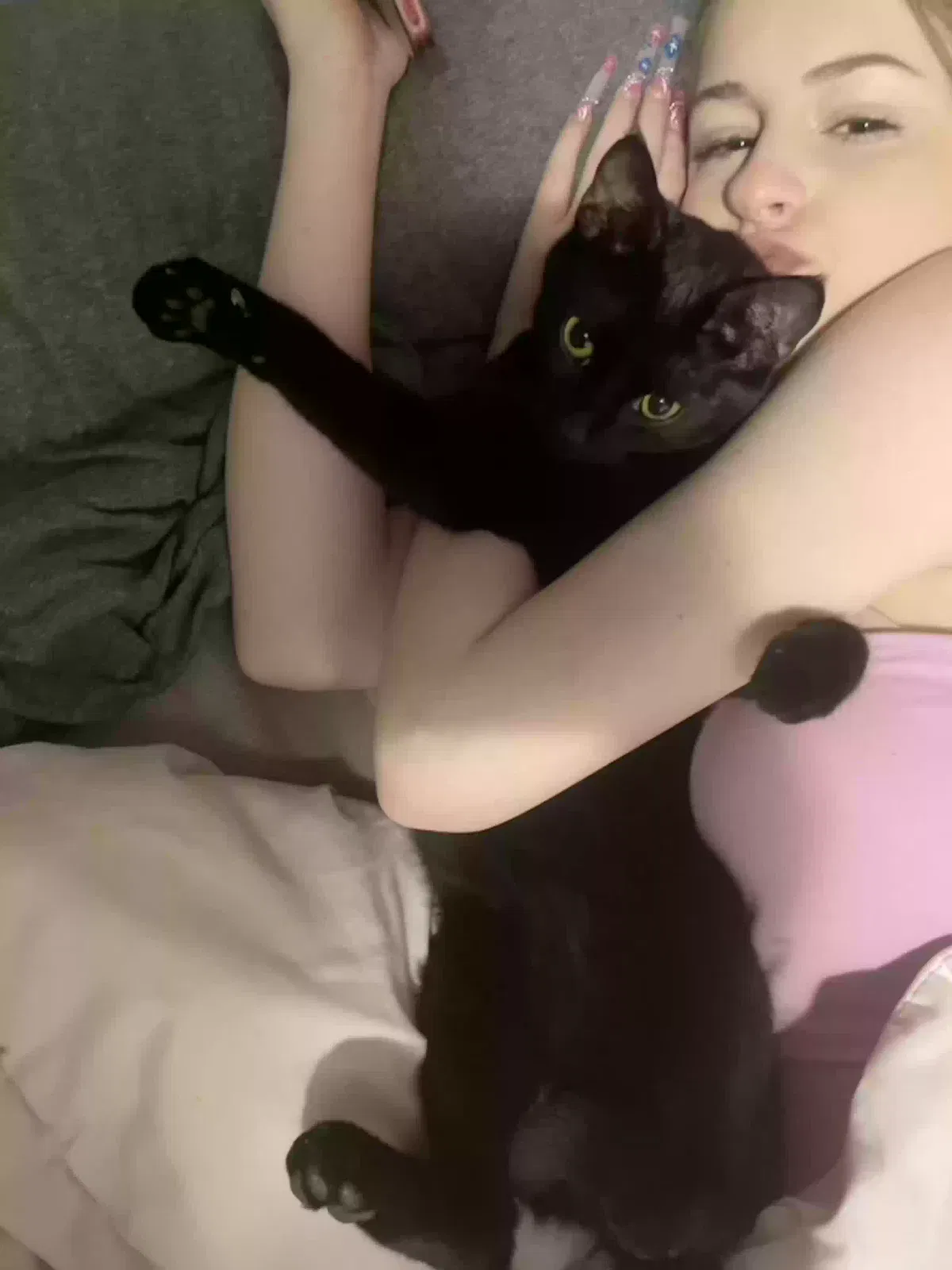Lost cat in Vancouver, WA, 98684