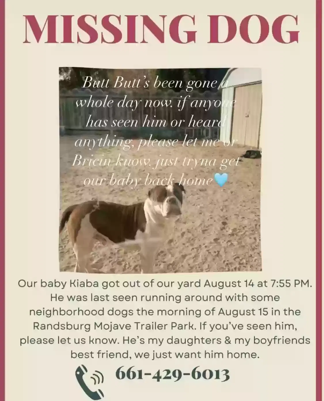 Lost dog in California City, CA, 93505