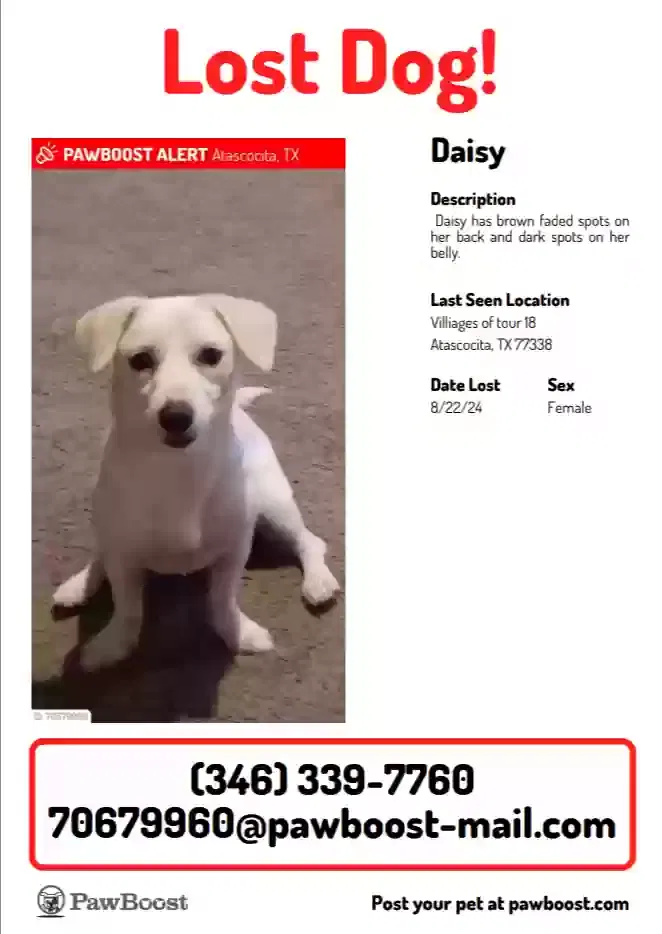 Lost dog in Humble, TX, 77396