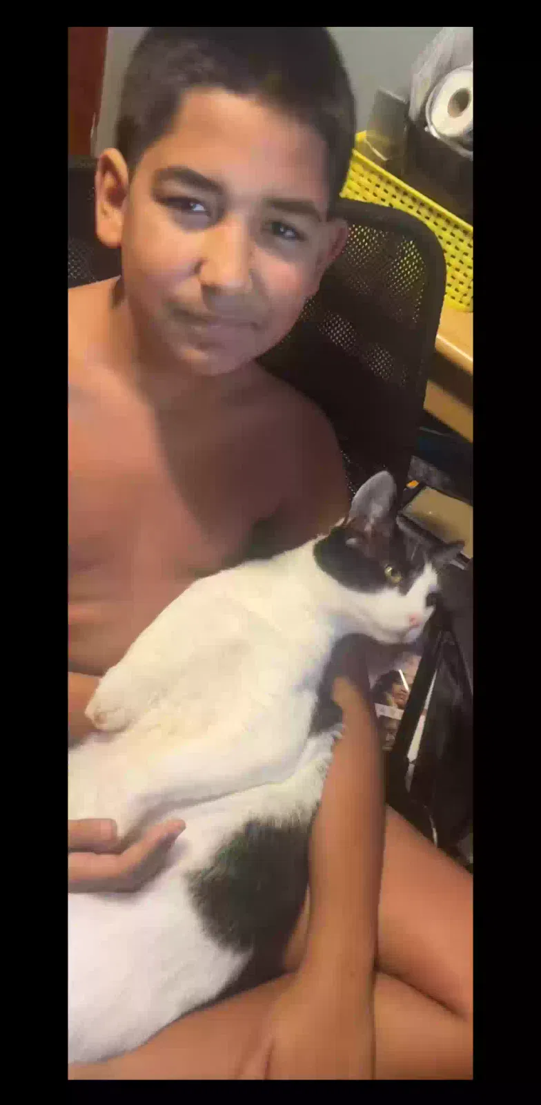 Lost cat in Lakeland, FL, 33810
