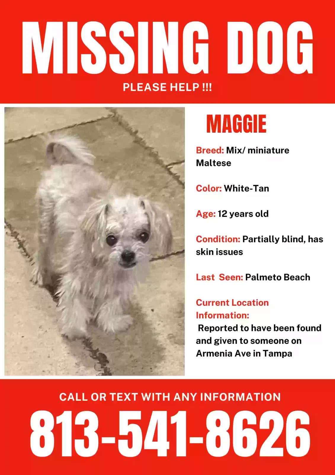 Lost dog in Tampa, FL, 33605