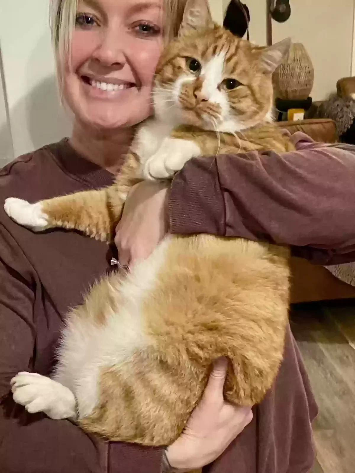 Lost cat in Hayward, CA, 94545