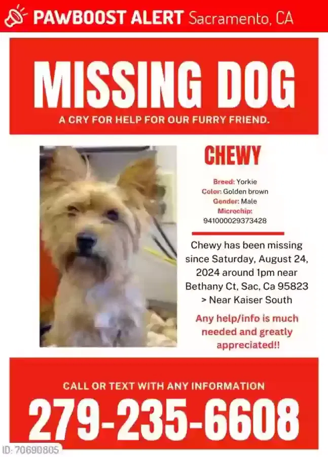 Lost dog in Sacramento, CA, 95823