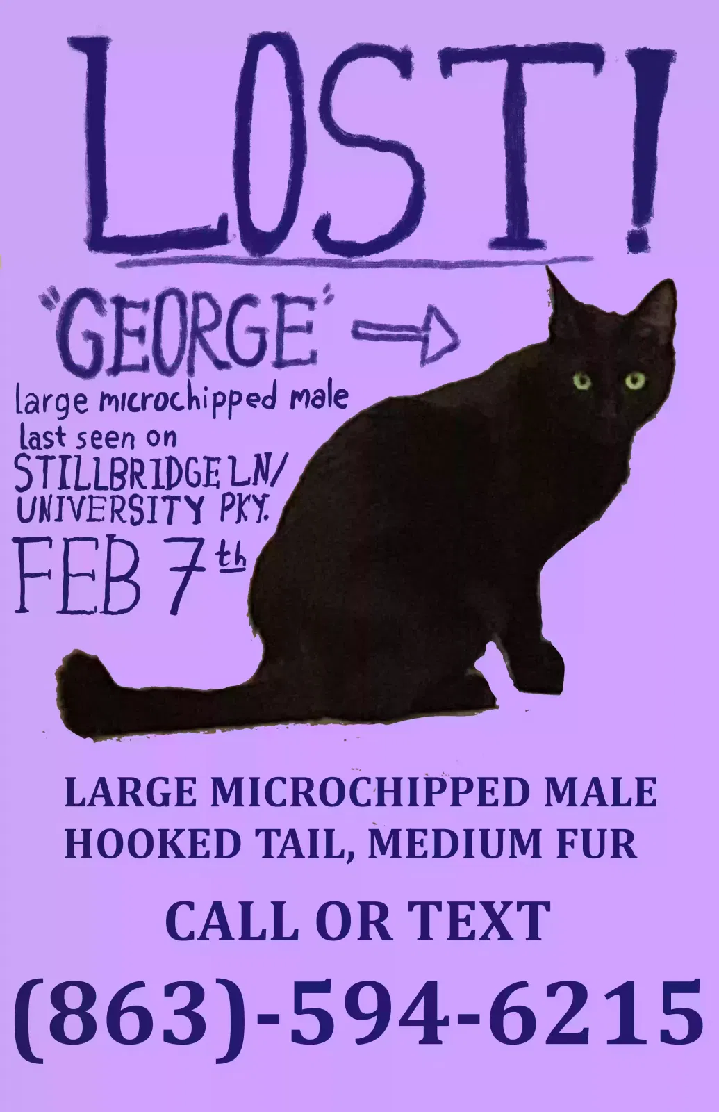 Lost cat in Pensacola, FL, 32514