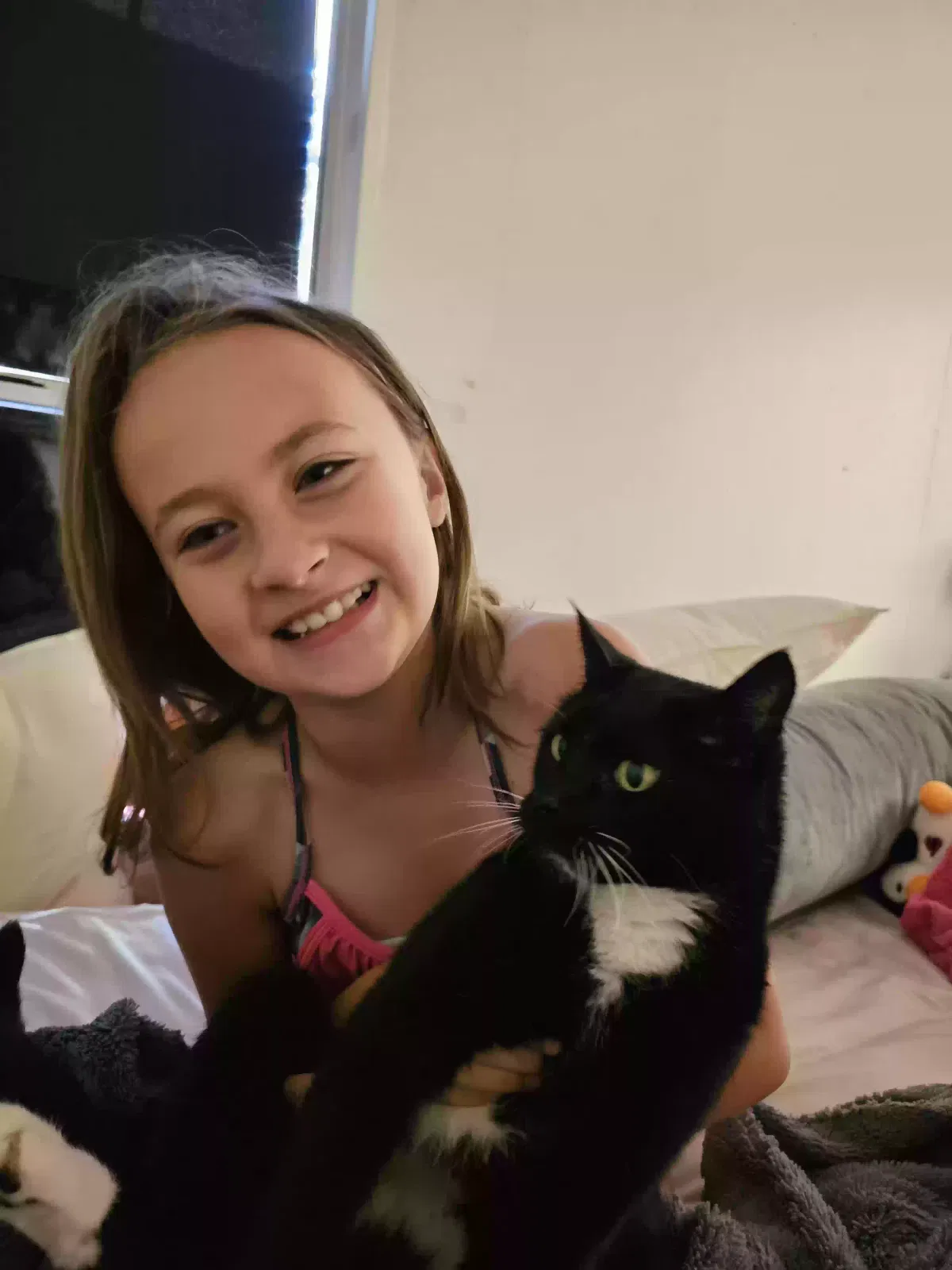 Lost cat in El Dorado Hills, CA, 95762