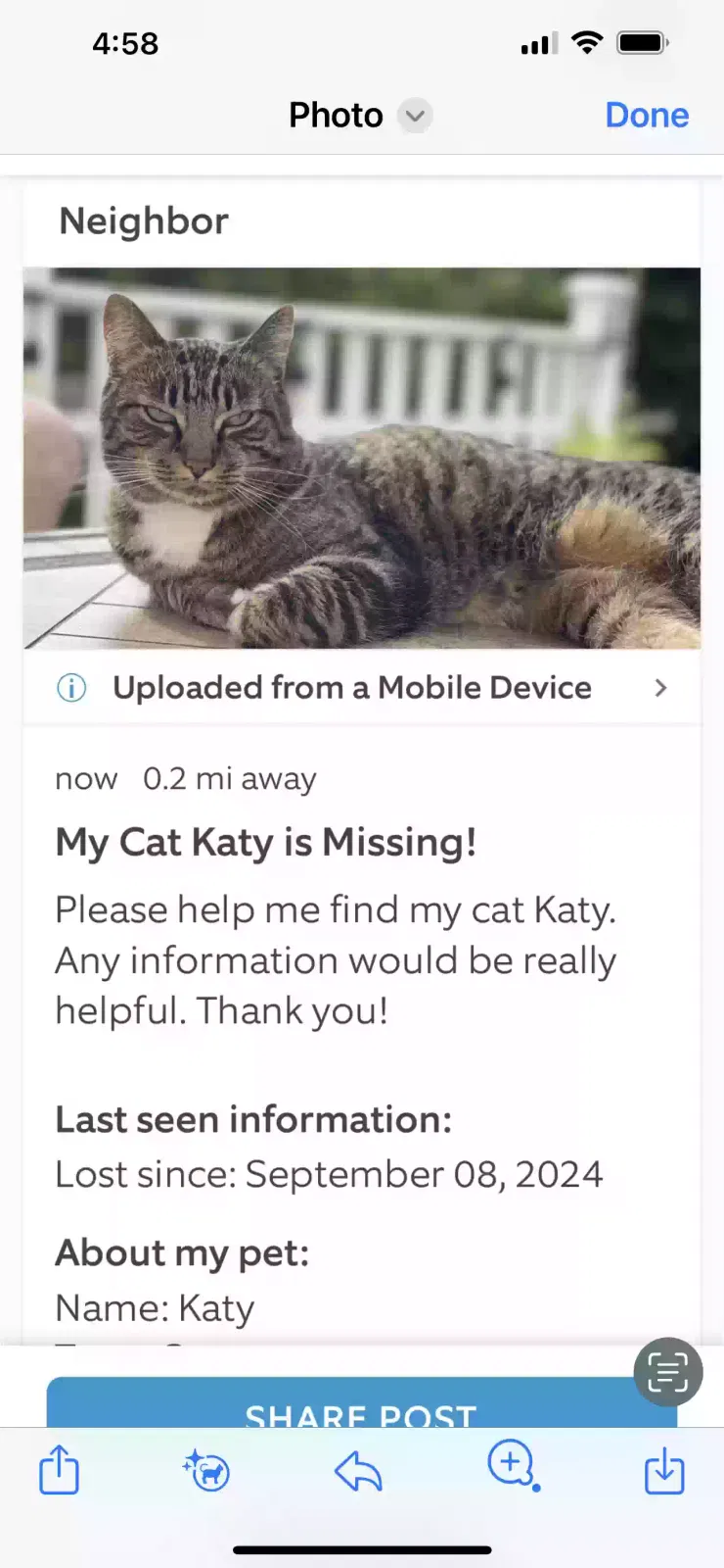 Lost cat in Beaverton, OR, 97007