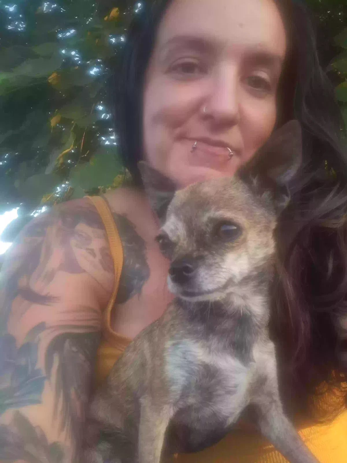 Lost dog in Seymour, MO, 65746