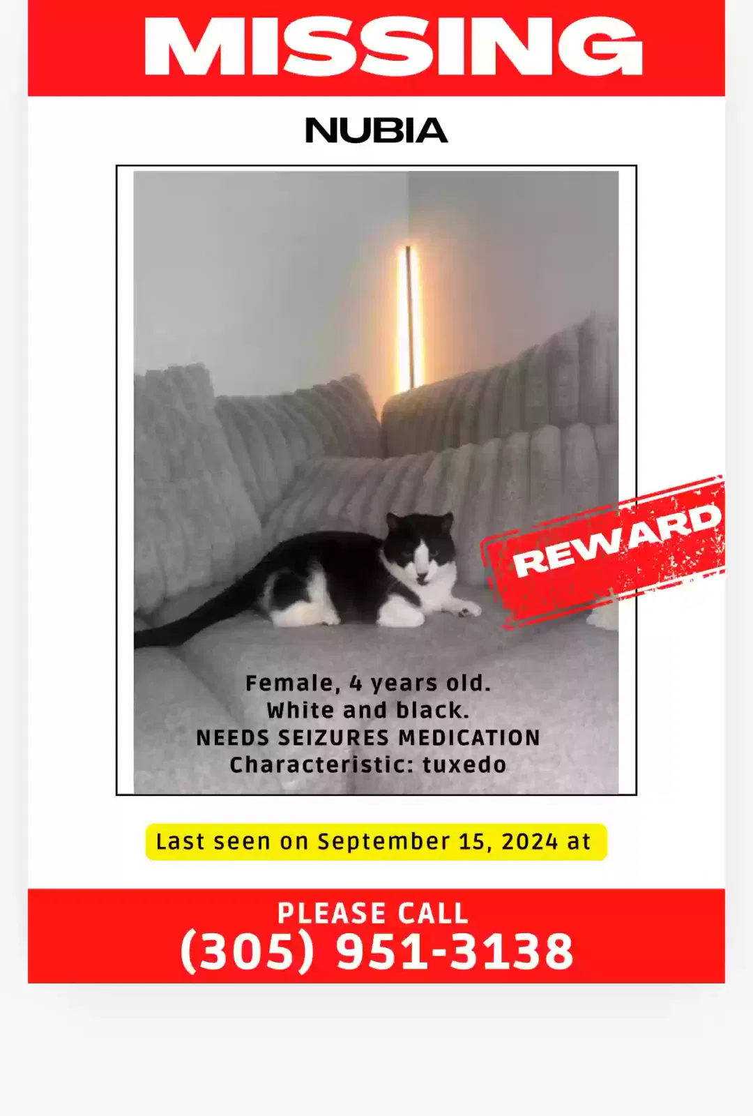 Lost cat in Hollywood, FL, 33023