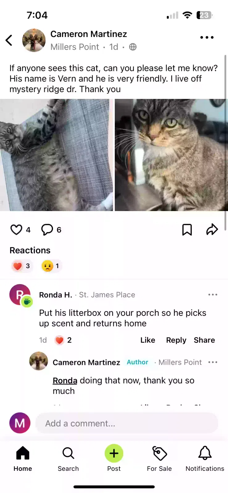 Lost cat in Converse, TX, 78109