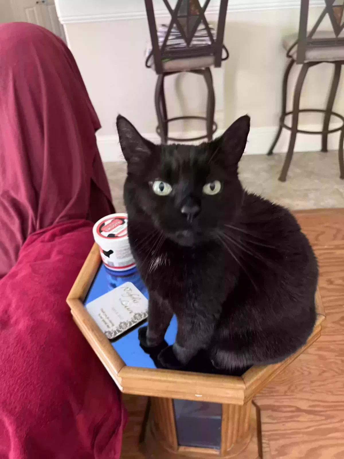 Lost cat in Deltona, FL, 32738