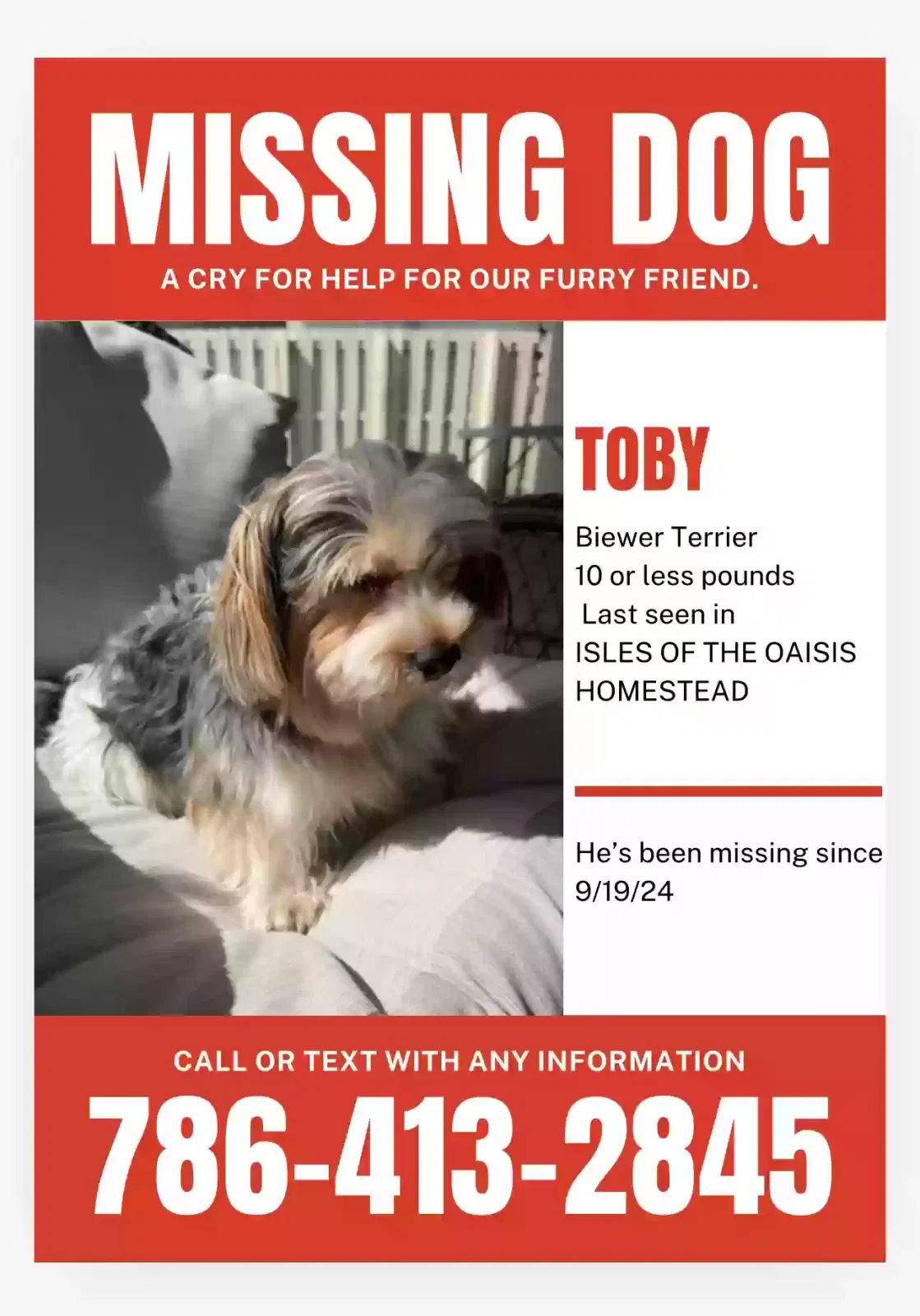 Lost dog in Homestead, FL, 33033