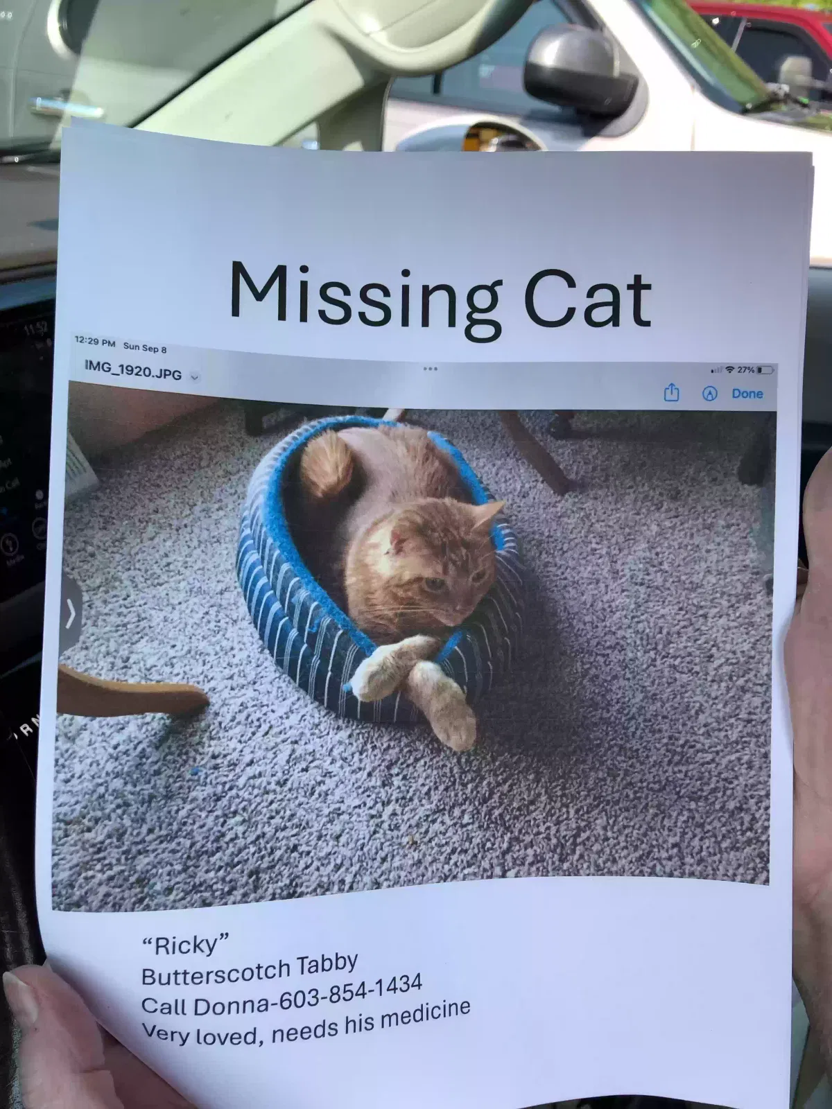 Lost cat in Kalamazoo, MI, 49009