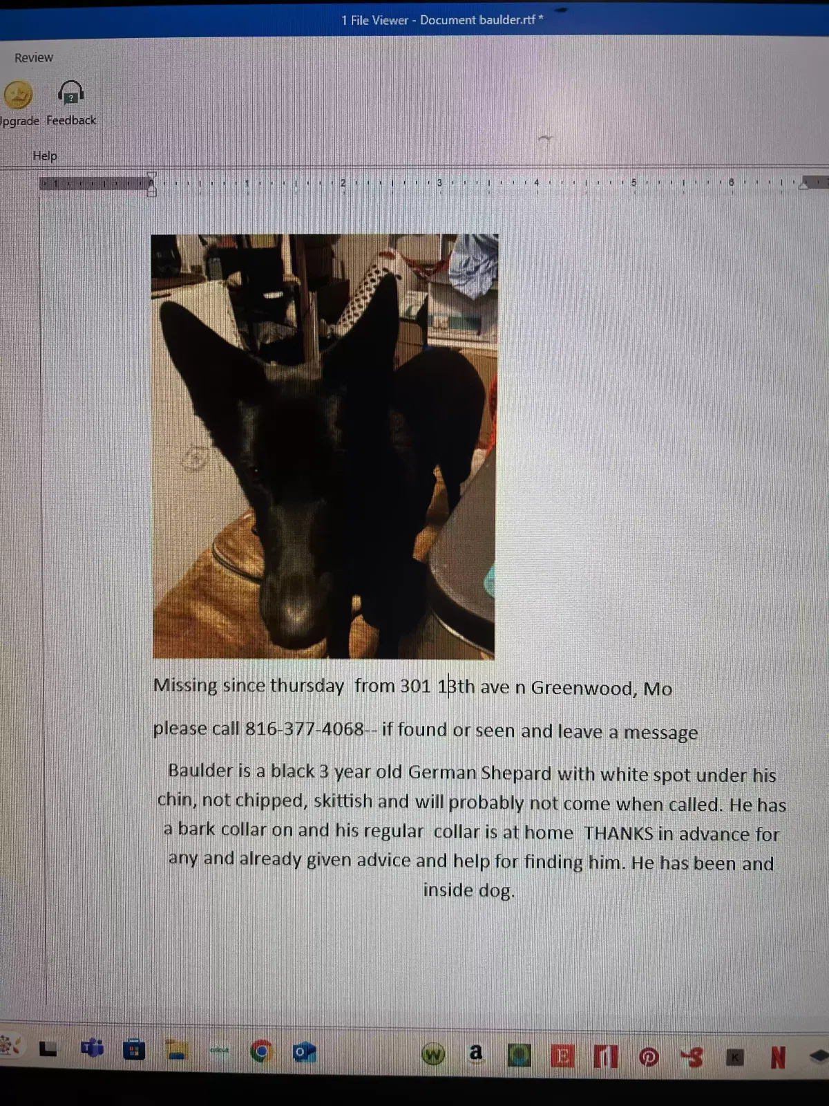 Lost dog in Greenwood, MO, 64034