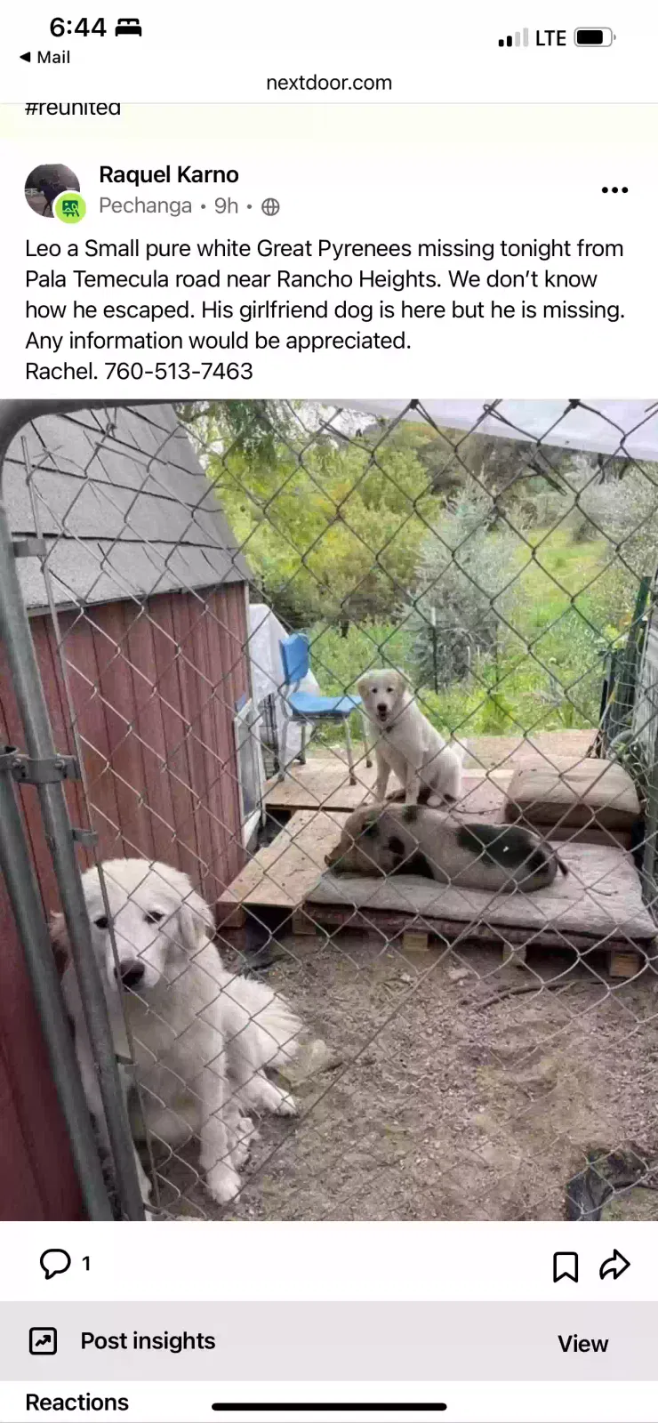 Lost dog in Pala, CA, 92059